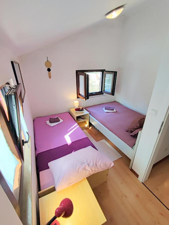Apartment Pajtak *